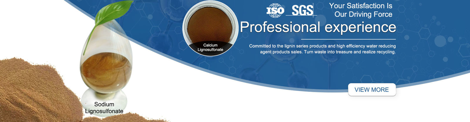 Lignosulfonate Lignin