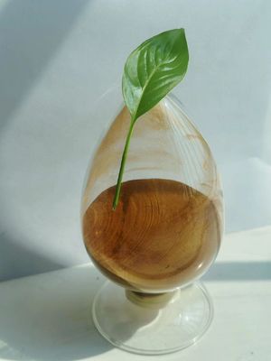 Non Explosive Sodium Lignosulphonate Powder Flocculant CAS 8061-51-6